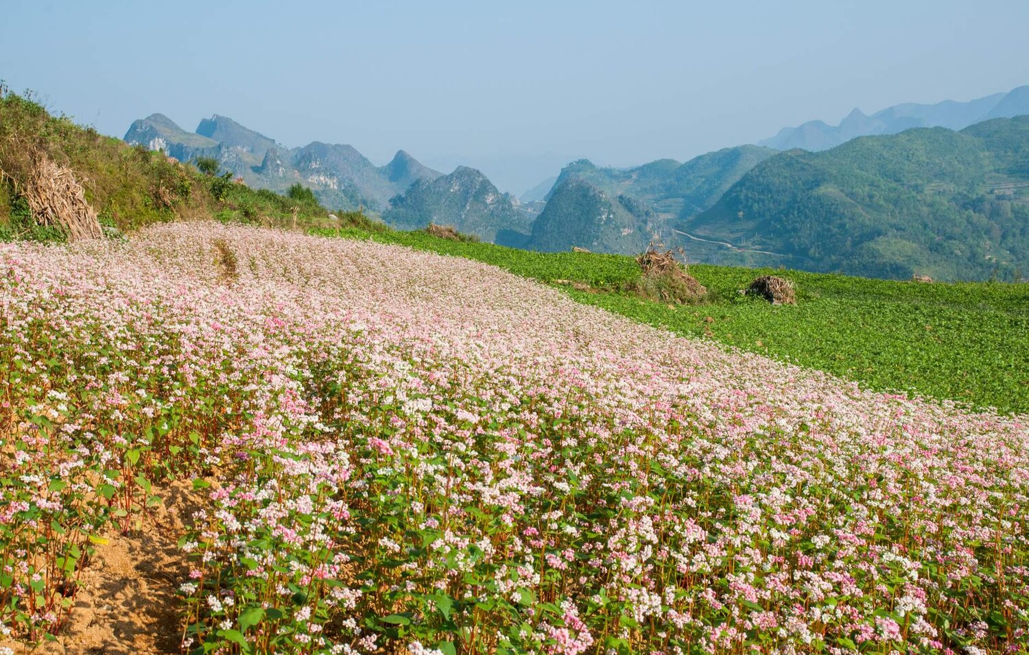 HÀ GIANG – CAO NGUYÊN ĐÁ ĐỒNG VĂN