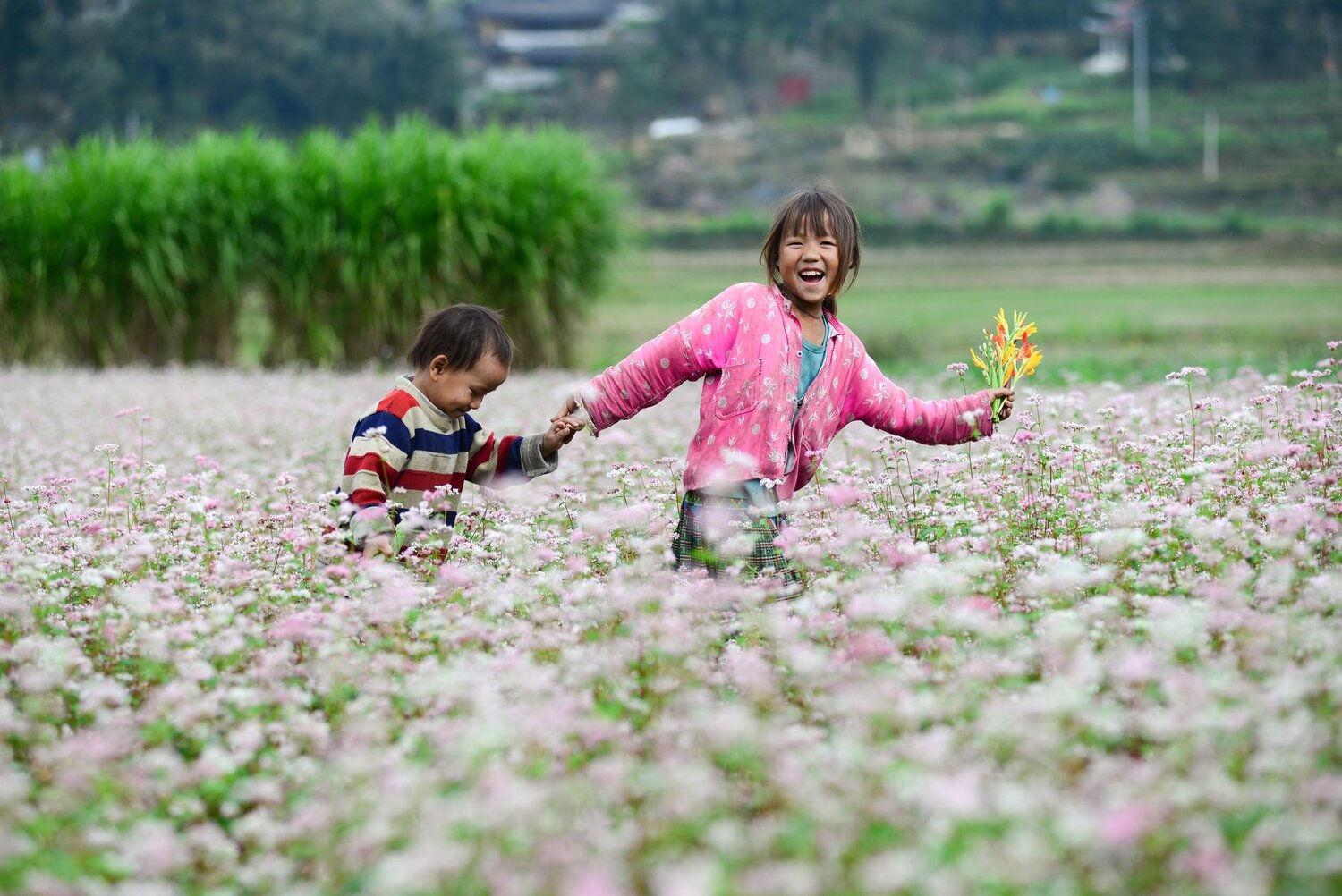 HÀ GIANG - LŨNG CÚ - ĐỒNG VĂN