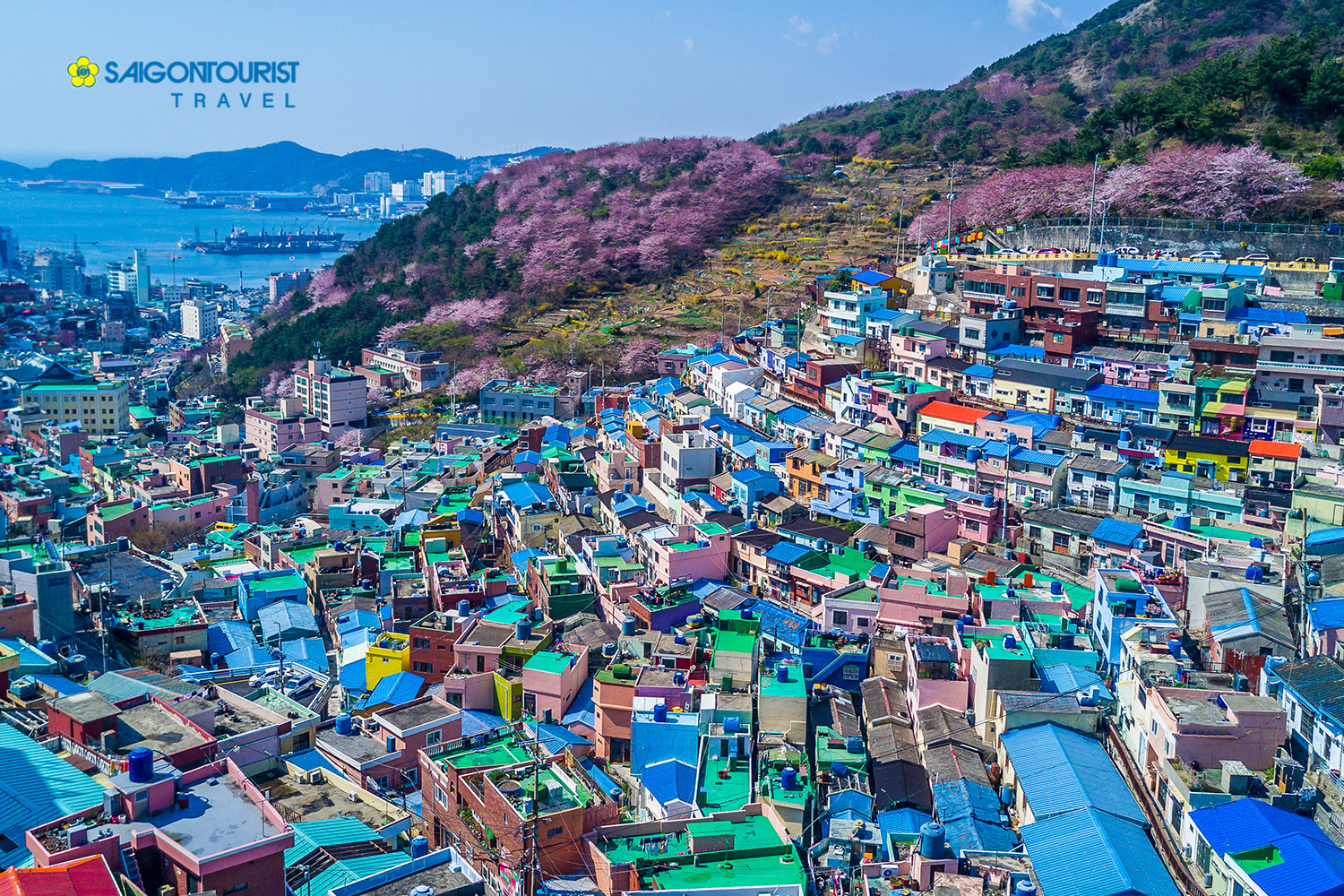 Du Lịch Hàn Quốc [Busan - Làng Gamcheon - Chợ Cá Jagalchi - Bảo Tàng Samjin - Ktx - Seoul - Nami  Everland - Nanta Show]