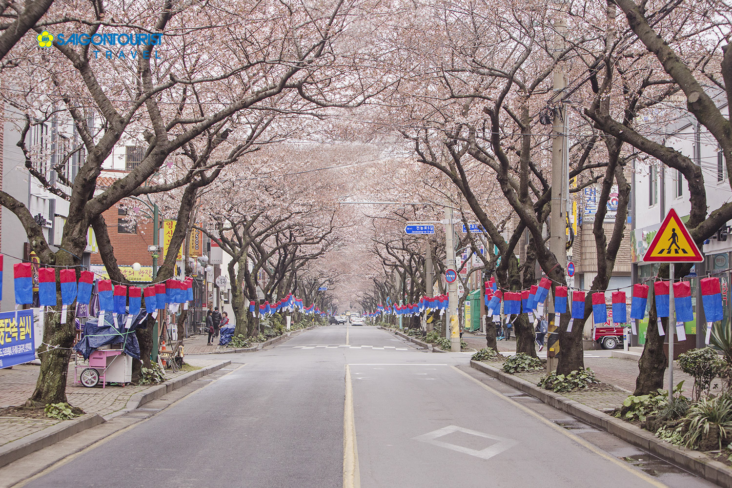 Du lịch Hàn Quốc Mùa Hoa anh đào 2023 [Seoul - Nami - Công viên Yeouido - Làng Pháp - Lotte World]