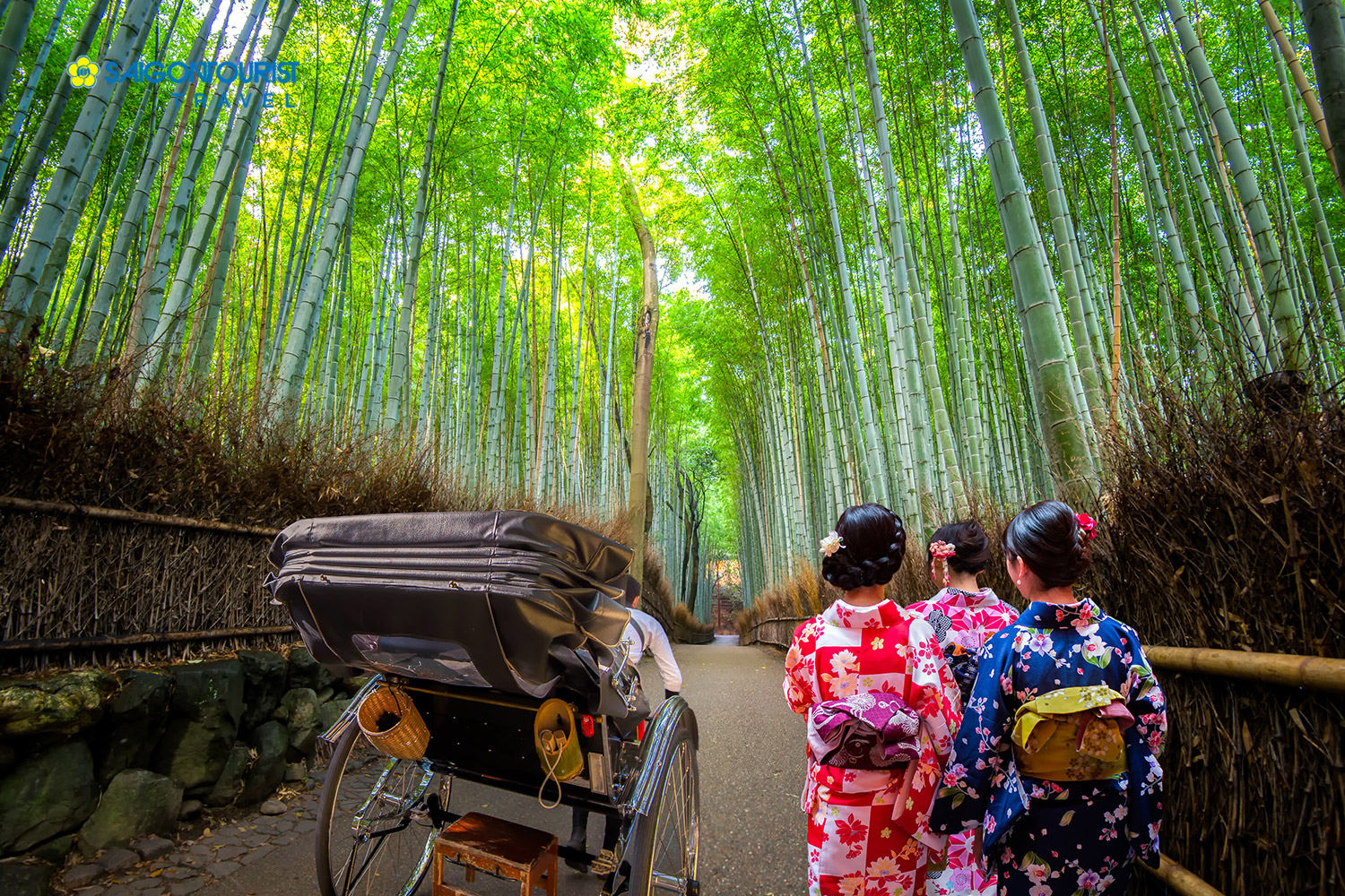Kết quả hình ảnh cho Sagano - See Arashiyama Kimono"