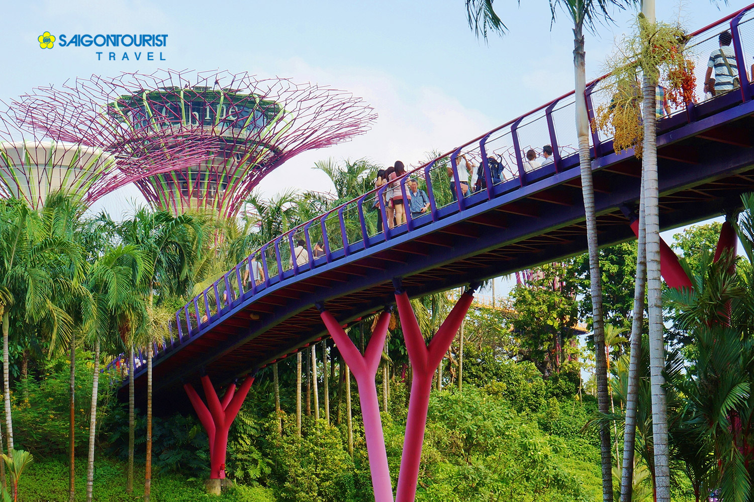 Du Lịch Singapore [Gardens By The Bay - Flower Dome -  Cloud Forest - Avatar - Wings Of Time -  Singapore Zoo & River Wonders]