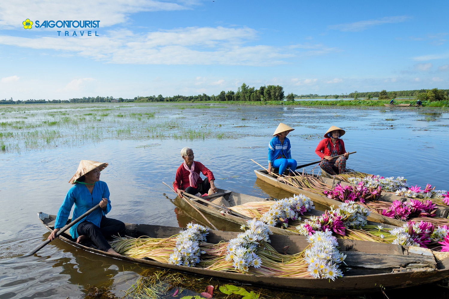 Saigontourist - Du lịch khám phá Đồng Tháp - Vườn Quốc Gia ...